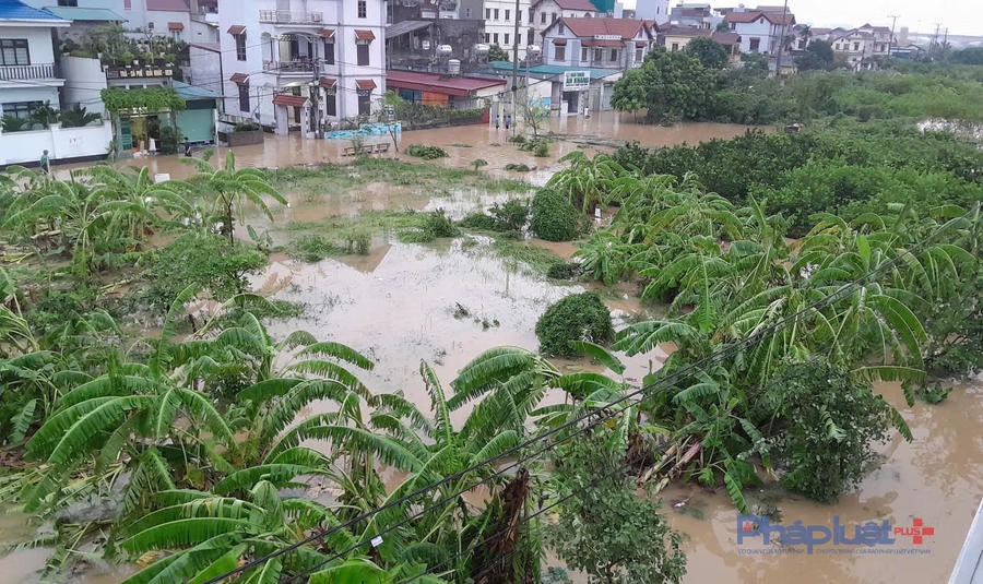 Công điện của Bộ Giáo dục và Đào tạo về ứng phó mưa lũ, sạt lở đất