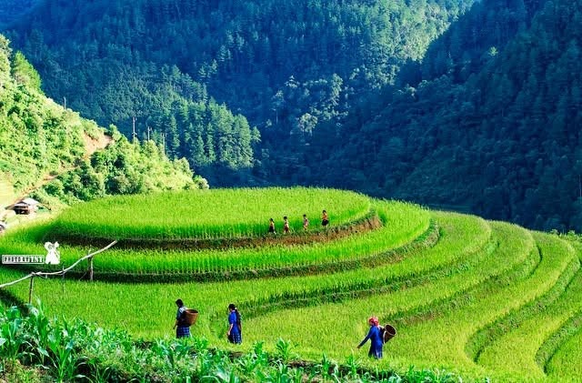 Trung tâm Nghiên cứu Quyền con người vùng Dân tộc Miền núi đổi mới để thích ứng và phát triển